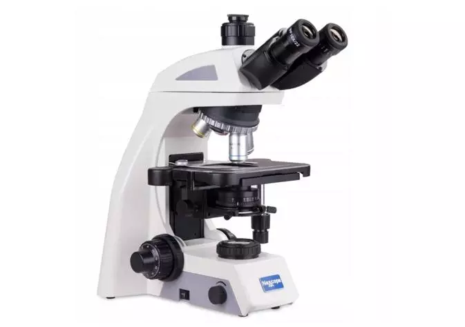 mikroskop weterynaryjny